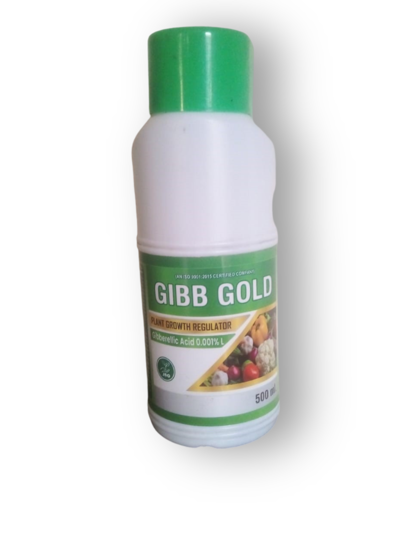 Gibb Gold